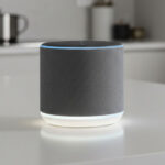Smart Speakers & Hubs