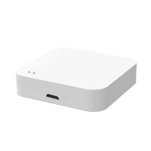 Zigbee Gateway Mini with WiFi Connection